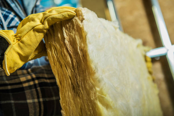 Best Insulation Contractors for Homes  in Odon, IN