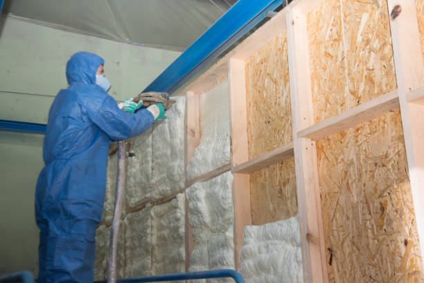 Best Crawl Space Insulation  in Odon, IN