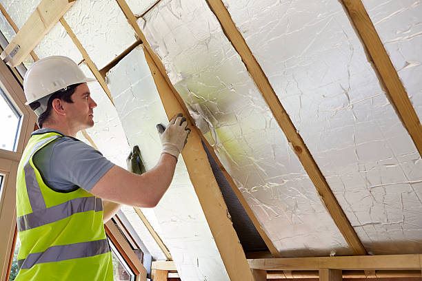 Best Attic Insulation Installation  in Odon, IN