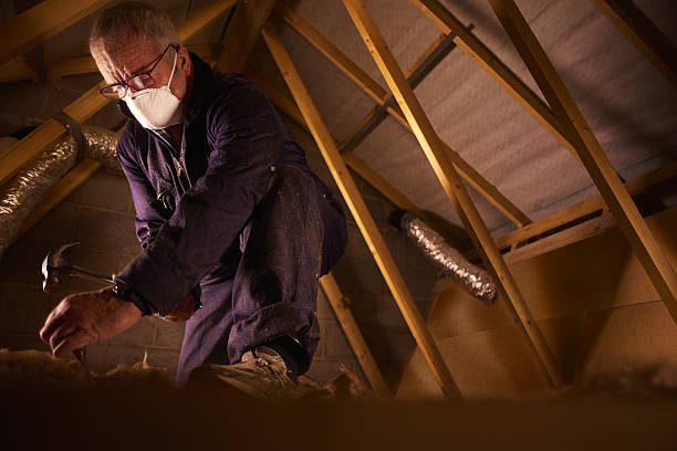 Best Insulation Repair Services  in Odon, IN